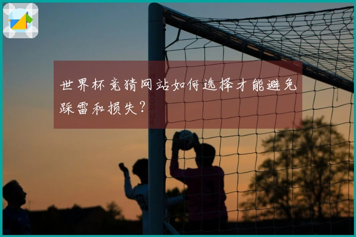 世界杯竞猜网站如何选择才能避免踩雷和损失？