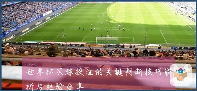 世界杯买球投注的关键判断技巧解析与经验分享