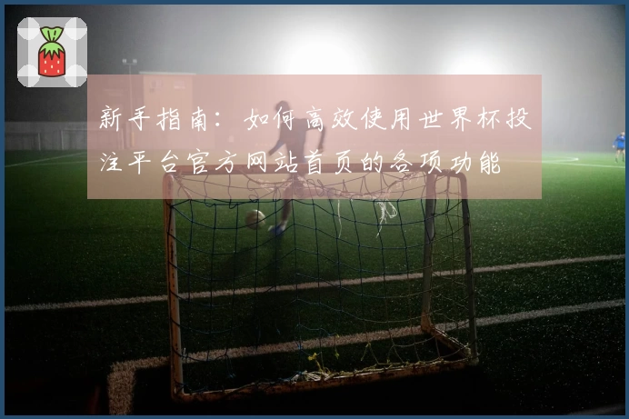 新手指南：如何高效使用世界杯投注平台官方网站首页的各项功能