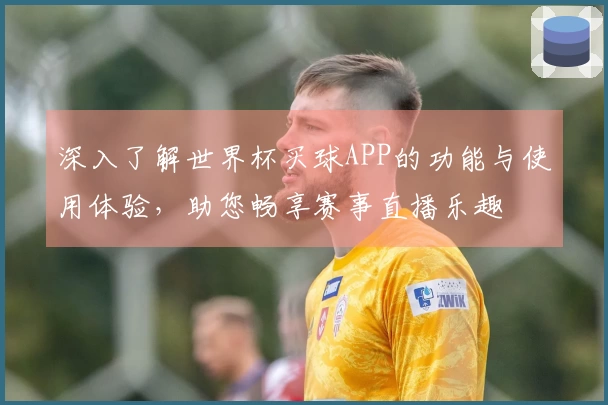 深入了解世界杯买球APP的功能与使用体验，助您畅享赛事直播乐趣