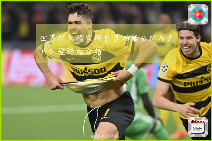 世界杯竞猜官网首页功能分析与用户体验详细介绍