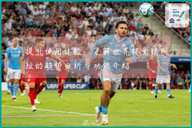 提升使用体验，了解世界杯竞猜网址的趋势分析与功能介绍