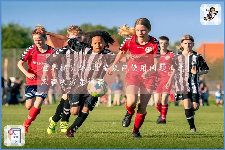 世界杯买球APP安装包使用问题汇总及解决方案详解