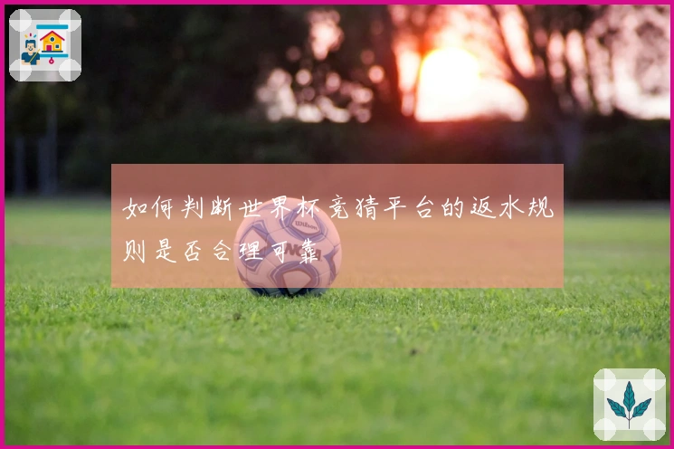 如何判断世界杯竞猜平台的返水规则是否合理可靠