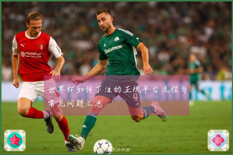 世界杯如何下注的正规平台流程与常见问题汇总
