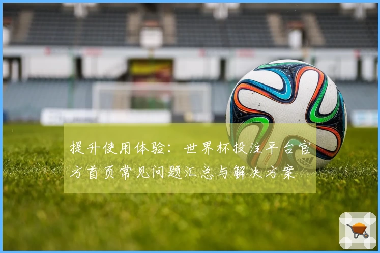 提升使用体验:世界杯投注平台官方首页常见问题汇总与解决方案