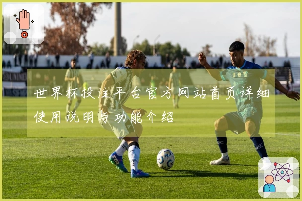 世界杯投注平台官方网站首页详细使用说明与功能介绍