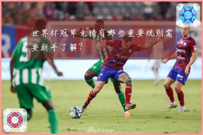 世界杯冠军竞猜有哪些重要规则需要新手了解？
