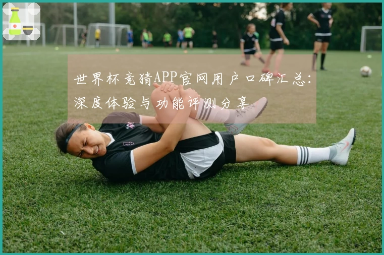 世界杯竞猜APP官网用户口碑汇总：深度体验与功能评测分享