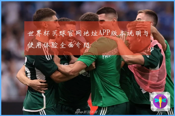 世界杯买球官网地址APP版本说明与使用体验全面介绍